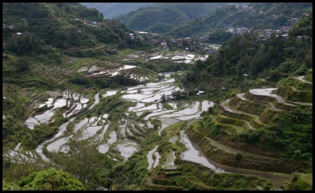 Rijstvelden van Banaue