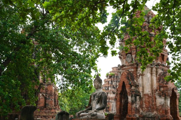 Boeddha in Ayutthaya