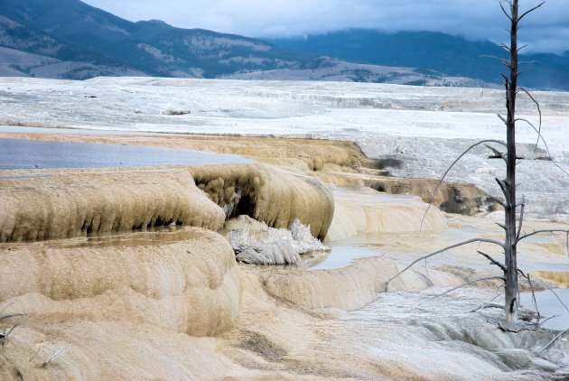 Kalkformaties in Mammoth Springs