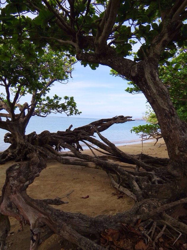 Anini beach Kauai