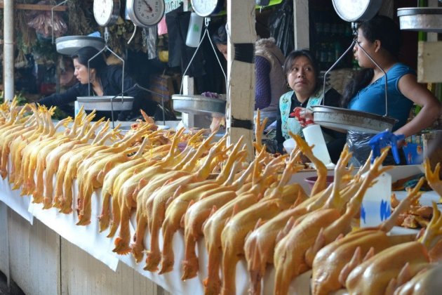 Op de markt in San Cristobal