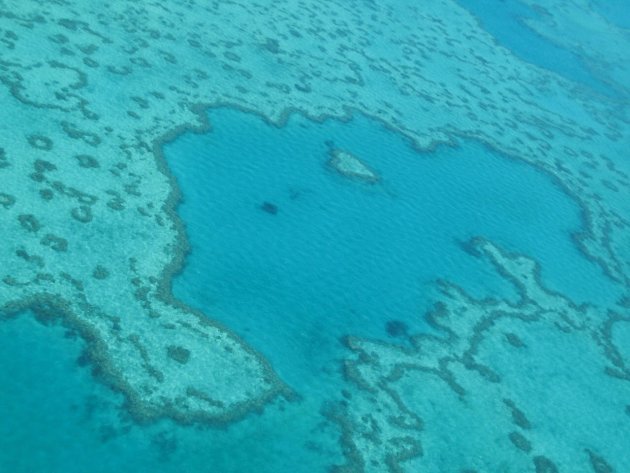 Great barrier reef