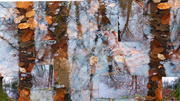 spiegeling in het bos