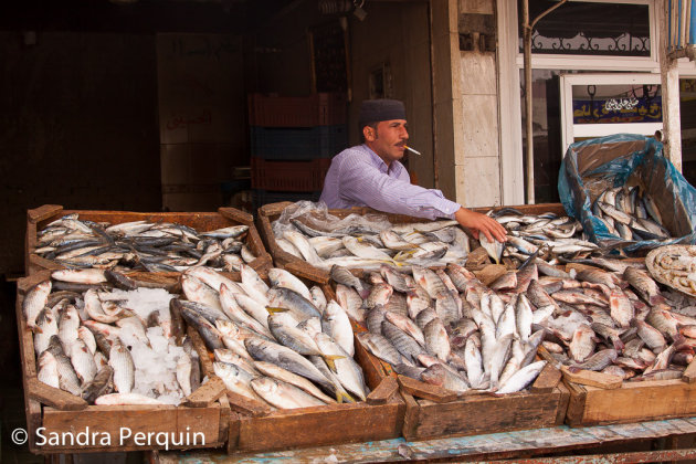 Vismarkt Hurghada