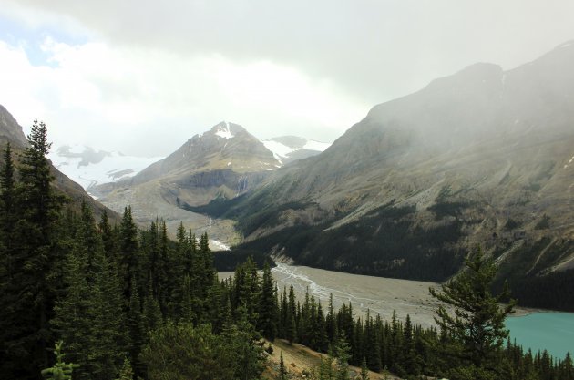 Peyto lake