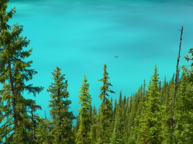 Bootje varen op Lake Louise