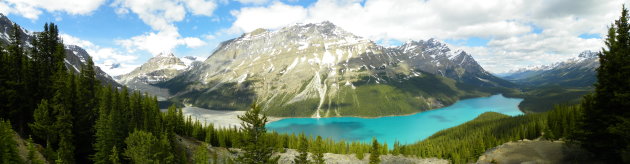 Peyto Lake over de volle lengte