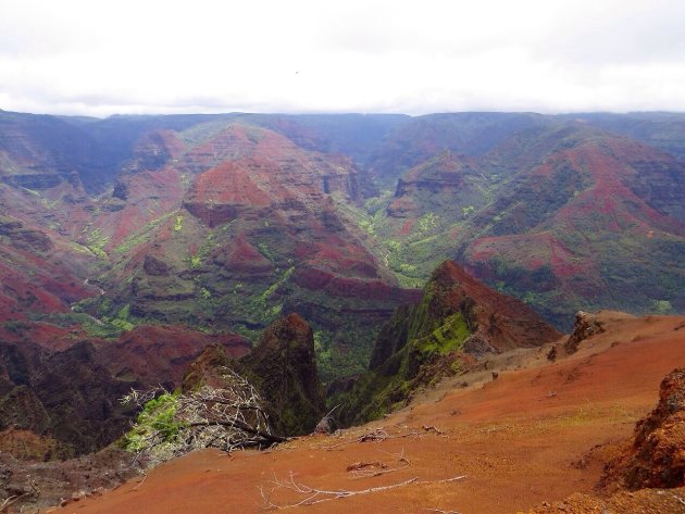 Waimea canyon