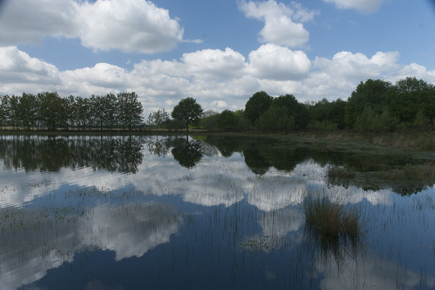 Huis ter Heide