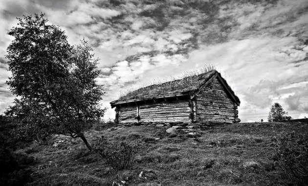 Norwegian Shed