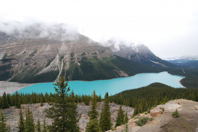 Peyto lake