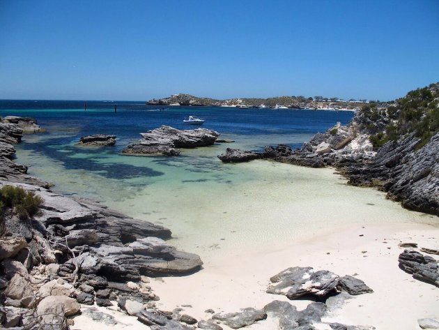 Rottnest island