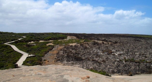 Kangaroo island