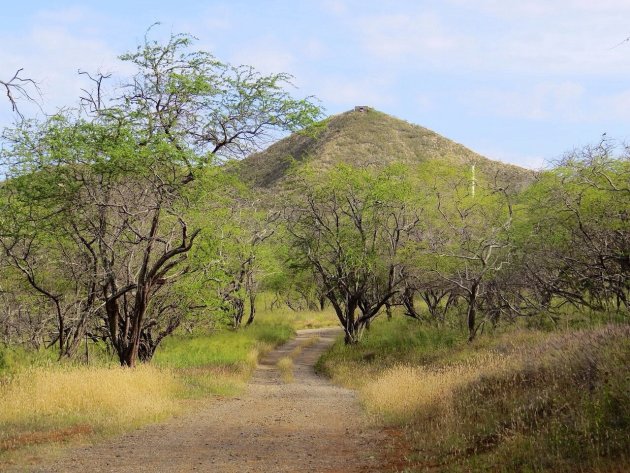 Diamond head trail