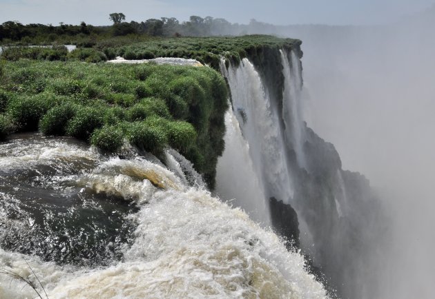 Iguazu