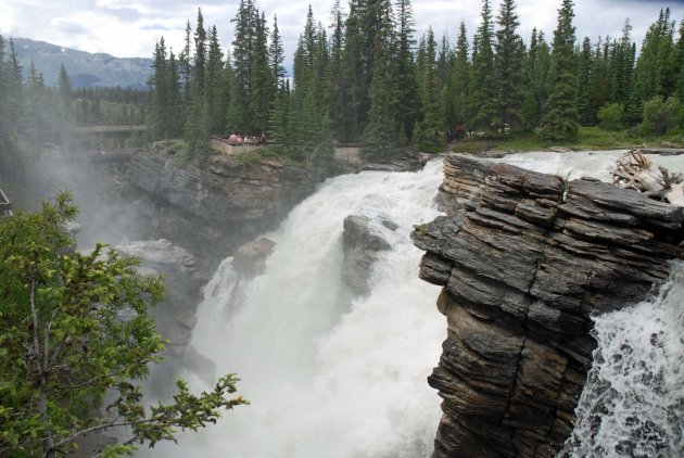 Athabasca Falls