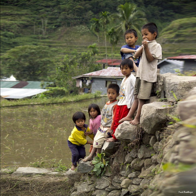 kinderen in de rijstterrassen van Banaue