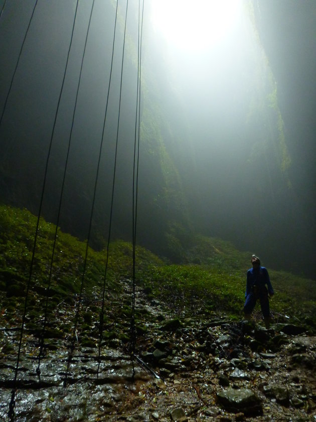 Waitomo Caves