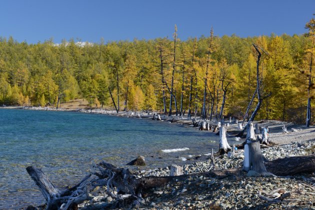 Herfst in Mongolië 