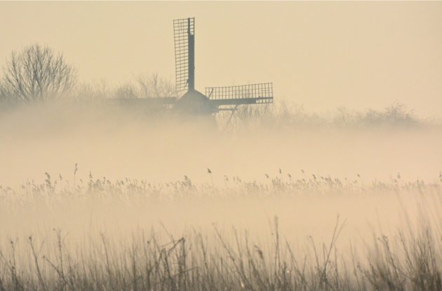 Een mistig landschap.