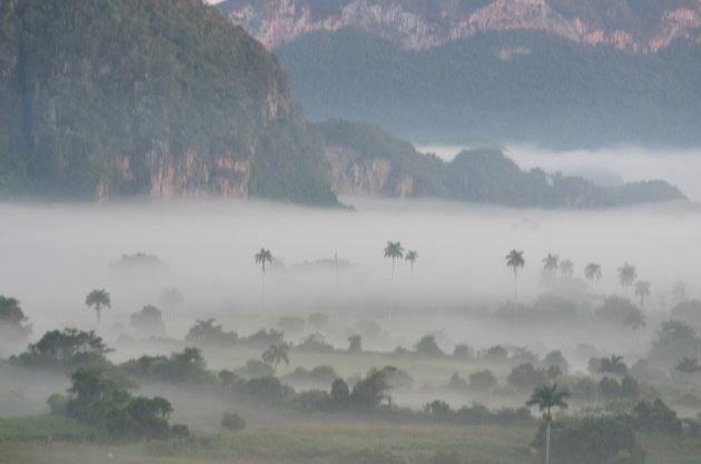 Vinales vallei