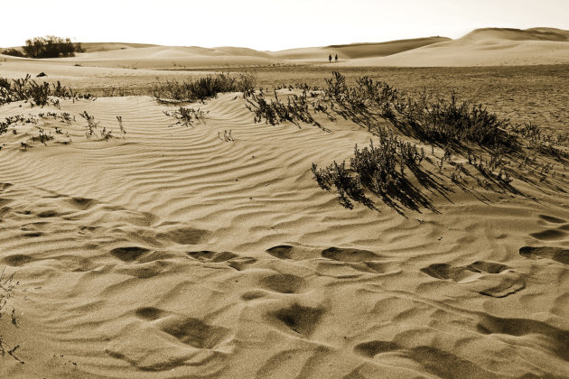 duinen van Maspalomas