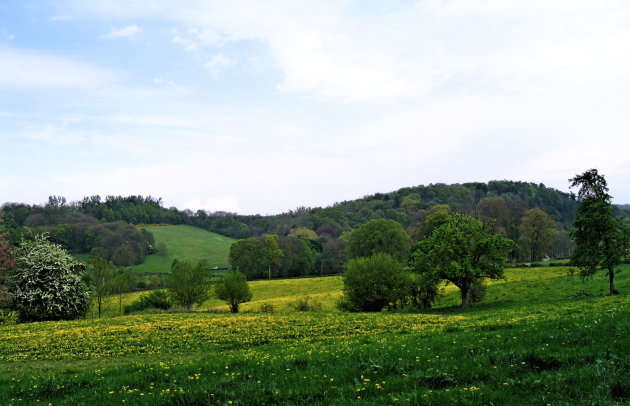 Natuurgebied Altembrouck