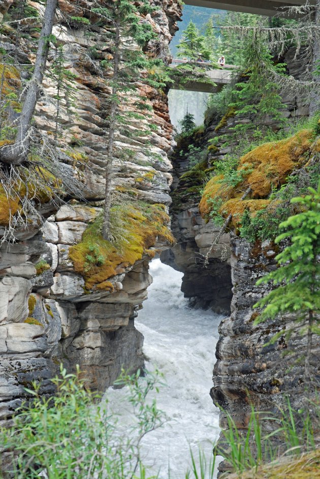 Athabasca Falls