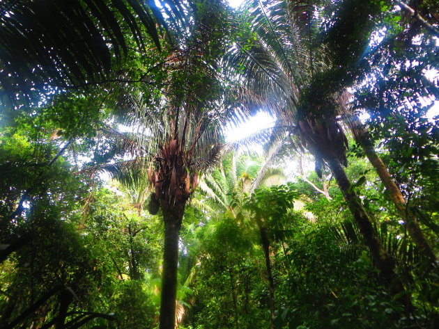 Manuel Antonio National Park