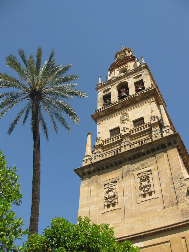 Cordoba