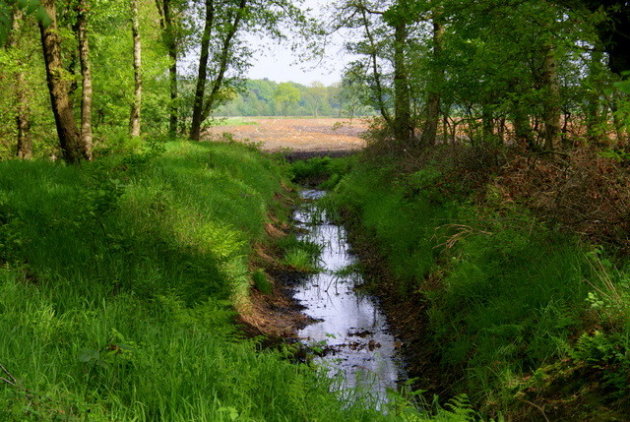 doorkijkje