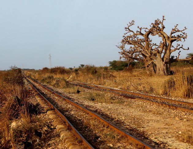 Spoor naar Mali