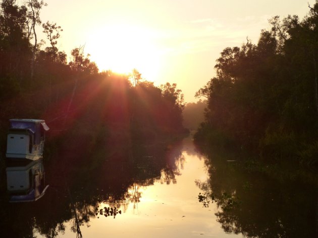 Wakker worden in Tanjung Putin National Park