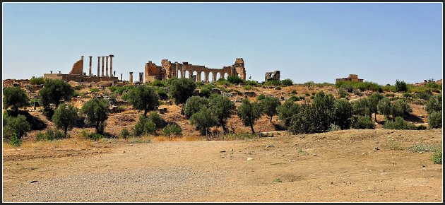 Volubilis !