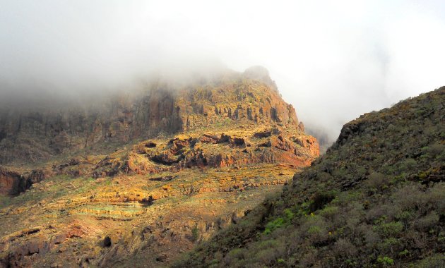 Parque Tamadaba