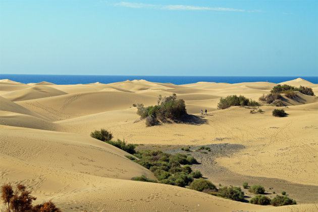 duinen van Maspalomas