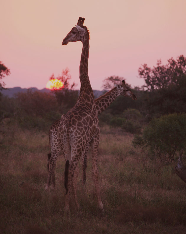 Zonsondergang