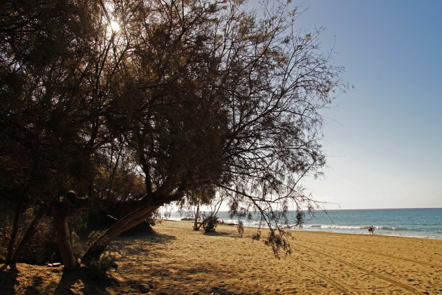 Beach Maspalomas