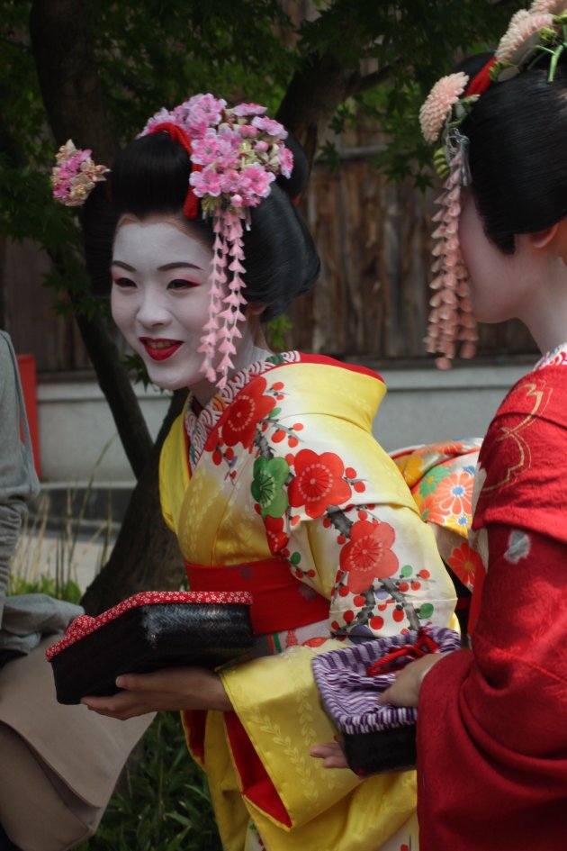 Maiko 