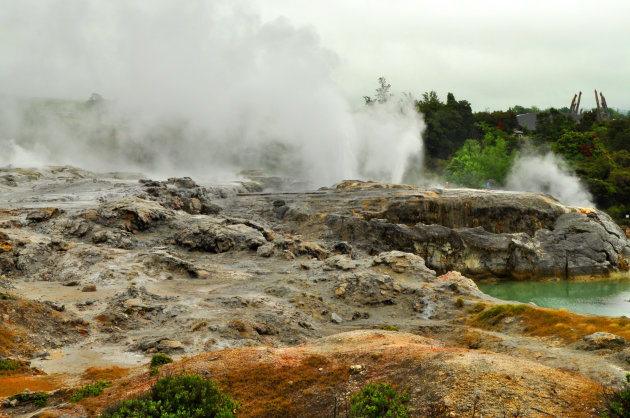 Geisers in Rotorua