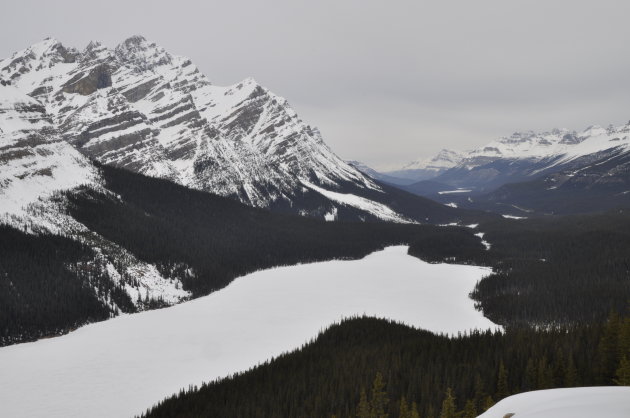 Peyto Lake 