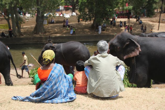 Oeps...een passerende olifant!