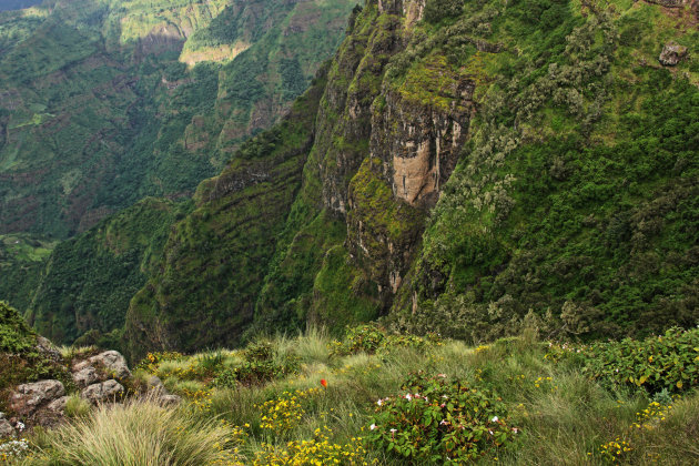 Simien-gebergte 