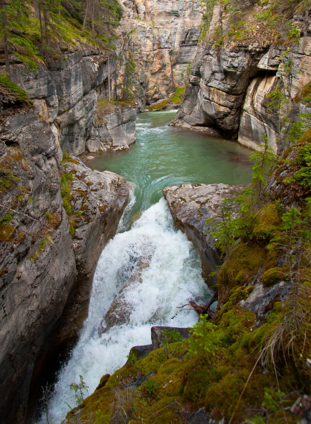 Maligne Canyon