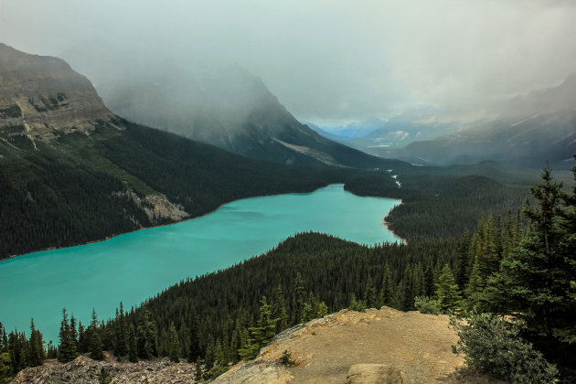 Peyto Lake