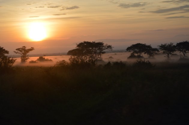 Landschap van Uganda 