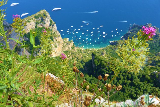 Capri