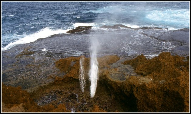 Blowhole