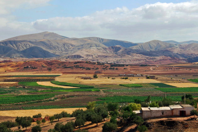 Onderweg naar Volubilis