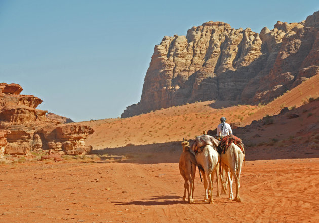 Wadi rum